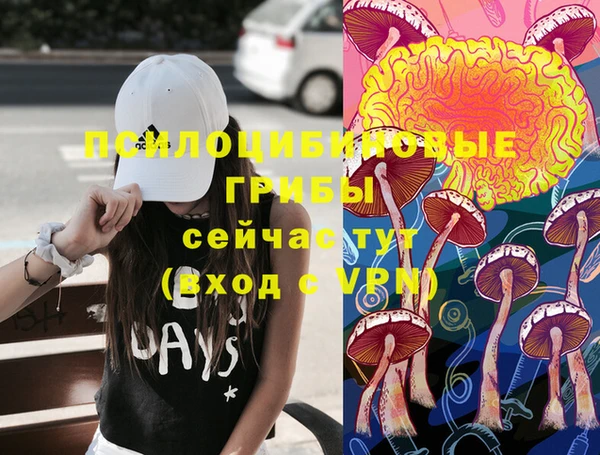 ECSTASY Баксан