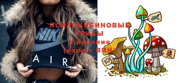 соль ск Балахна