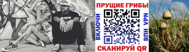 даркнет официальный сайт  Протвино  Псилоцибиновые грибы Psilocybe  купить наркотик 